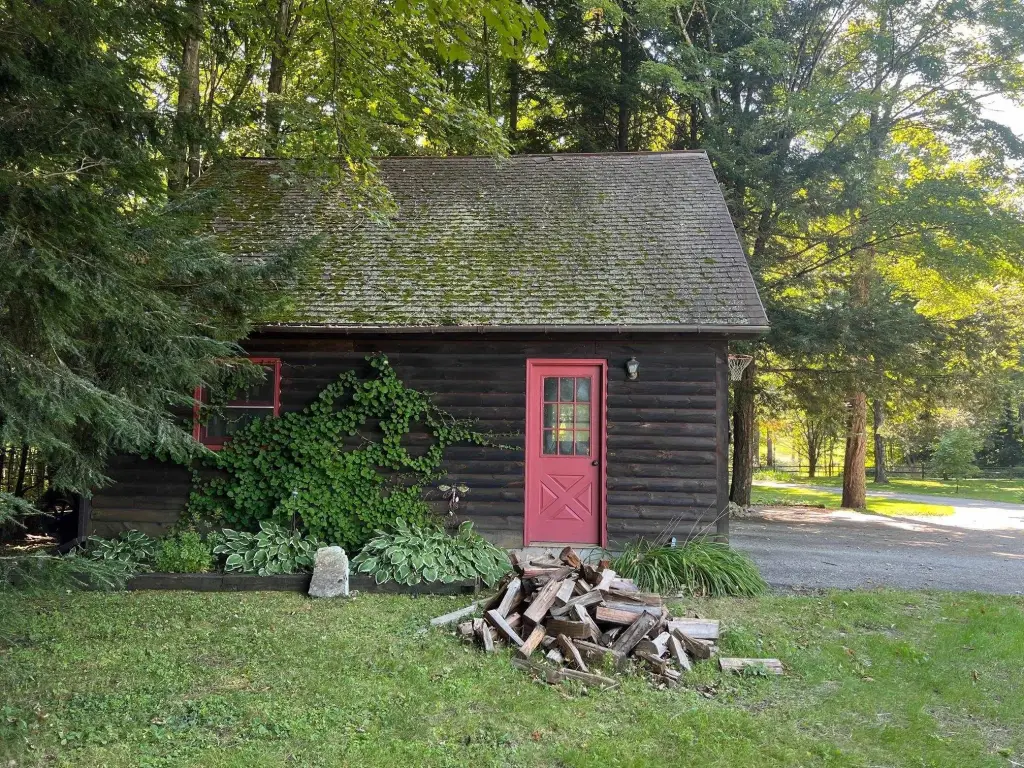 Picture 24