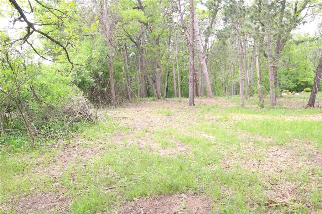 Picture 18