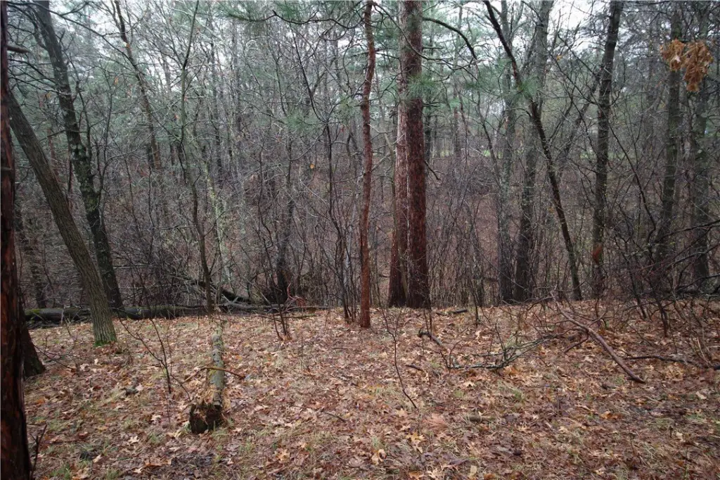 Picture 14