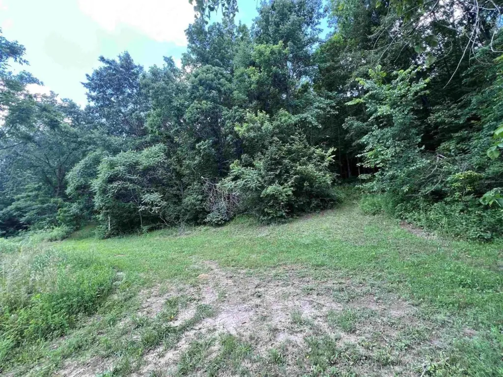 Picture 9