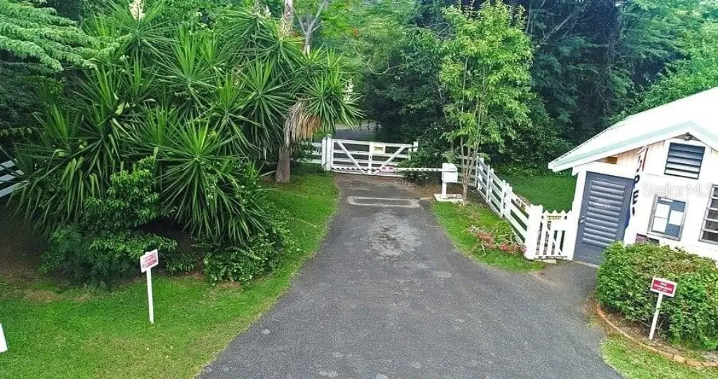 Picture 9