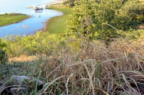 Land with Golf Resort Membership