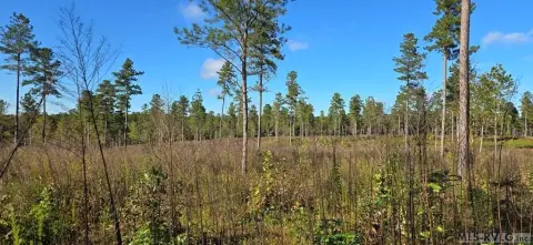 Residential Lot in Country Setting