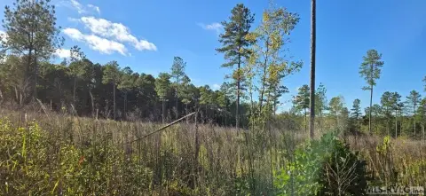 Residential Lot in Lawrenceville, VA