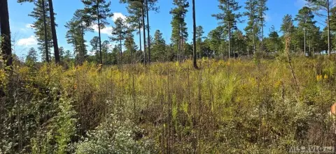 Residential Lot in Country Setting