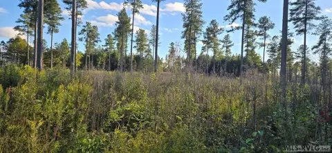 Residential Lot in Country Setting