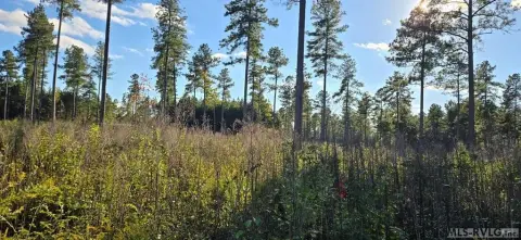 Residential Lot in Lawrenceville, VA