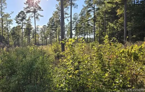 Residential Lot in Lawrenceville, VA