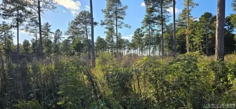 Residential Lot in Country Setting