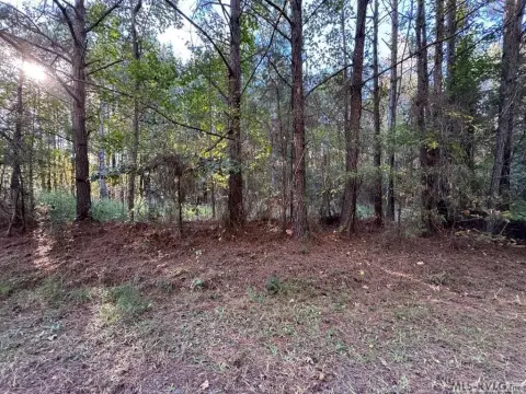 Roanoke Rapids Wooded Acreage