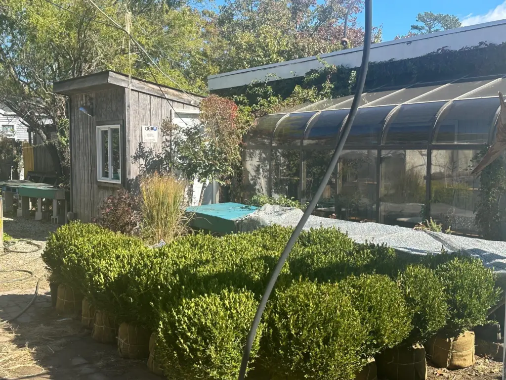 Picture 16