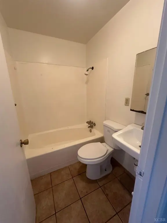 Picture 5
