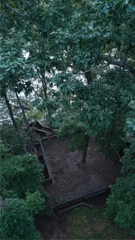 Picture 25