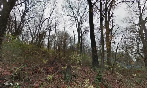 Lonsdale Hillside Property for Homesteading