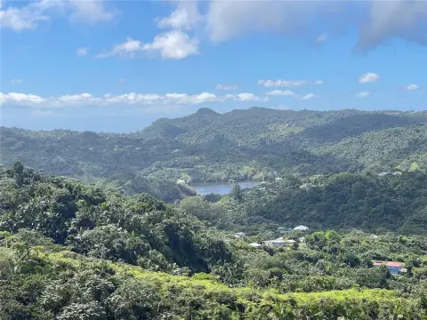 230 Acres Farmland in Adjuntas