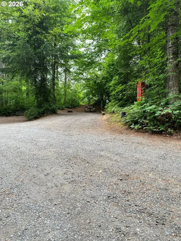 Picture 30