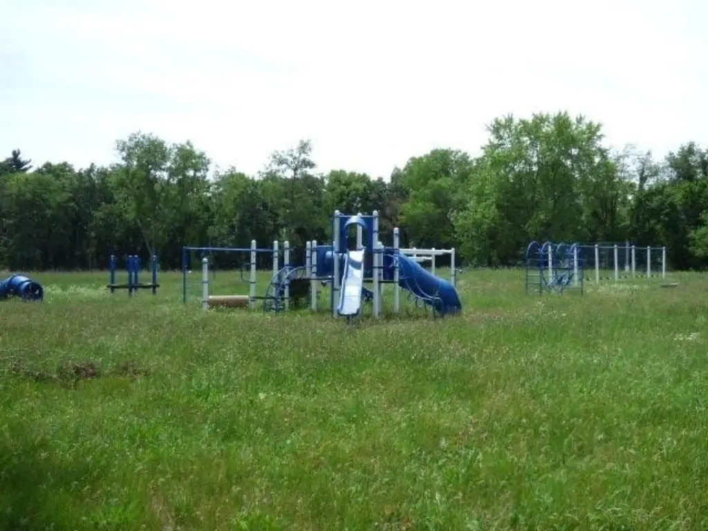 Picture 7
