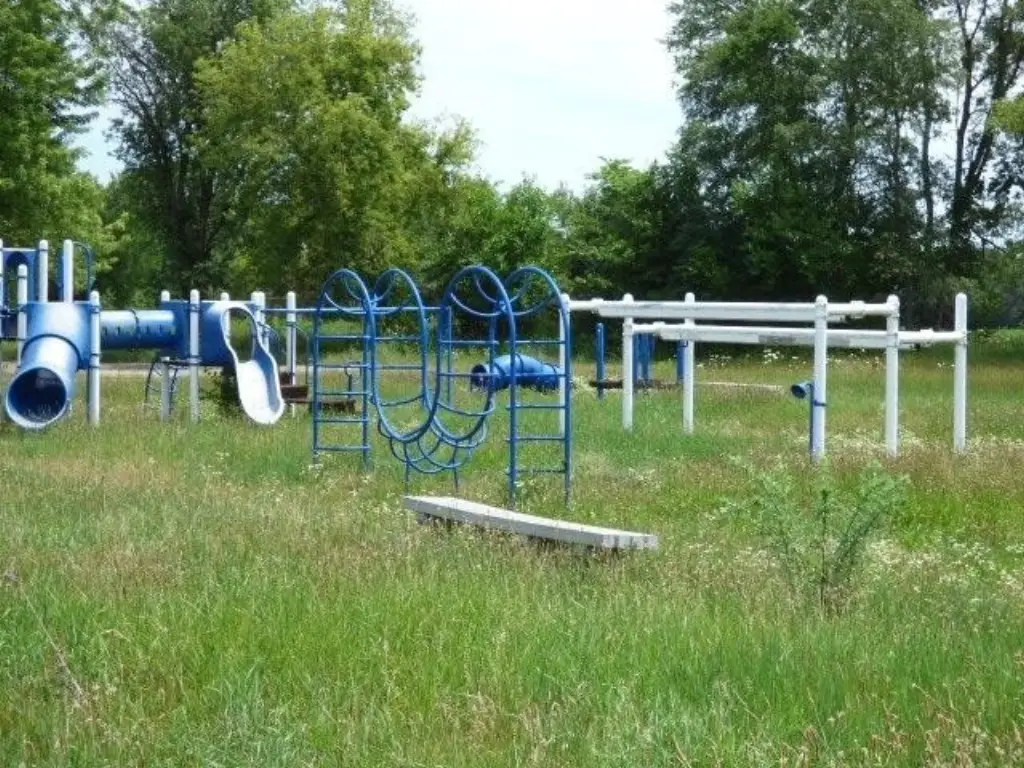 Picture 11