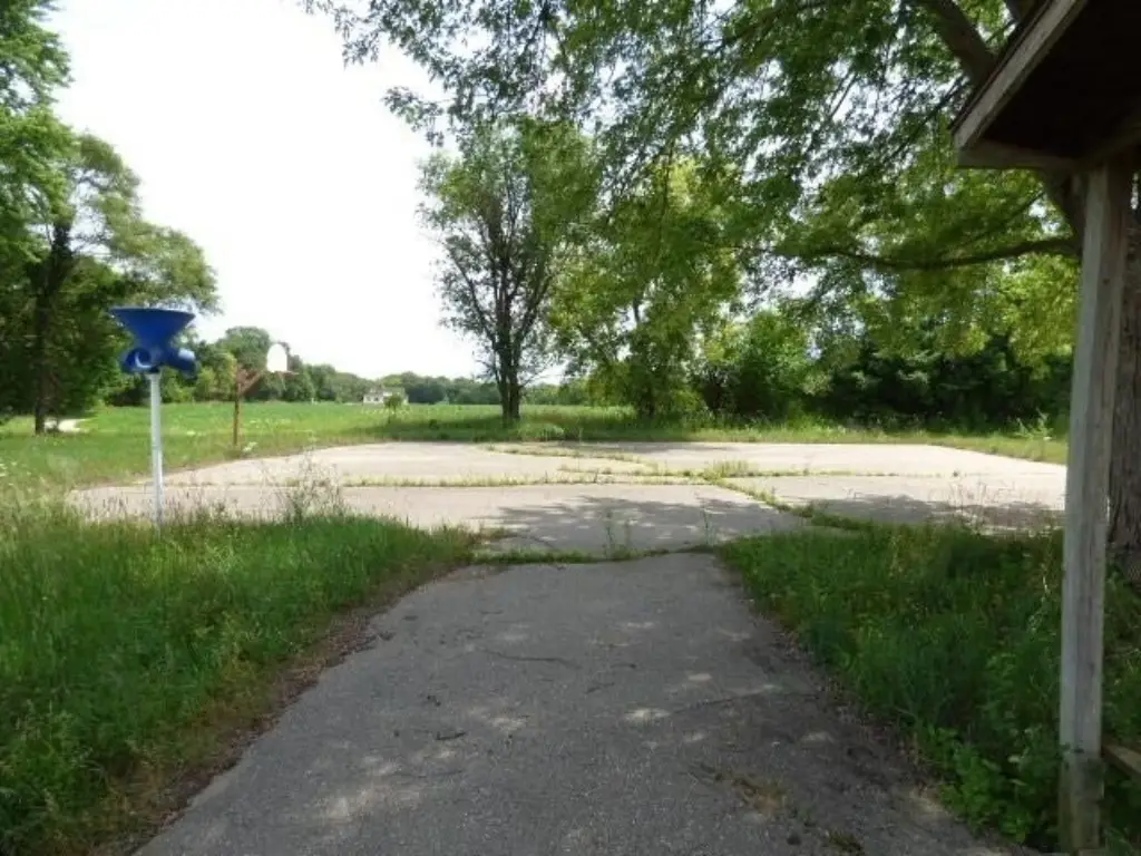 Picture 8