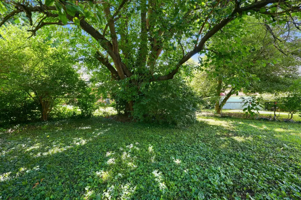 Picture 23