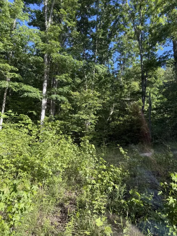 Picture 4