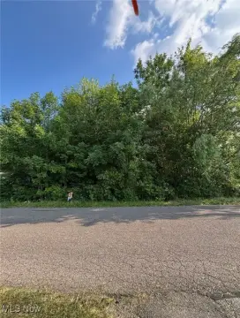 Land in Youngstown, Ohio