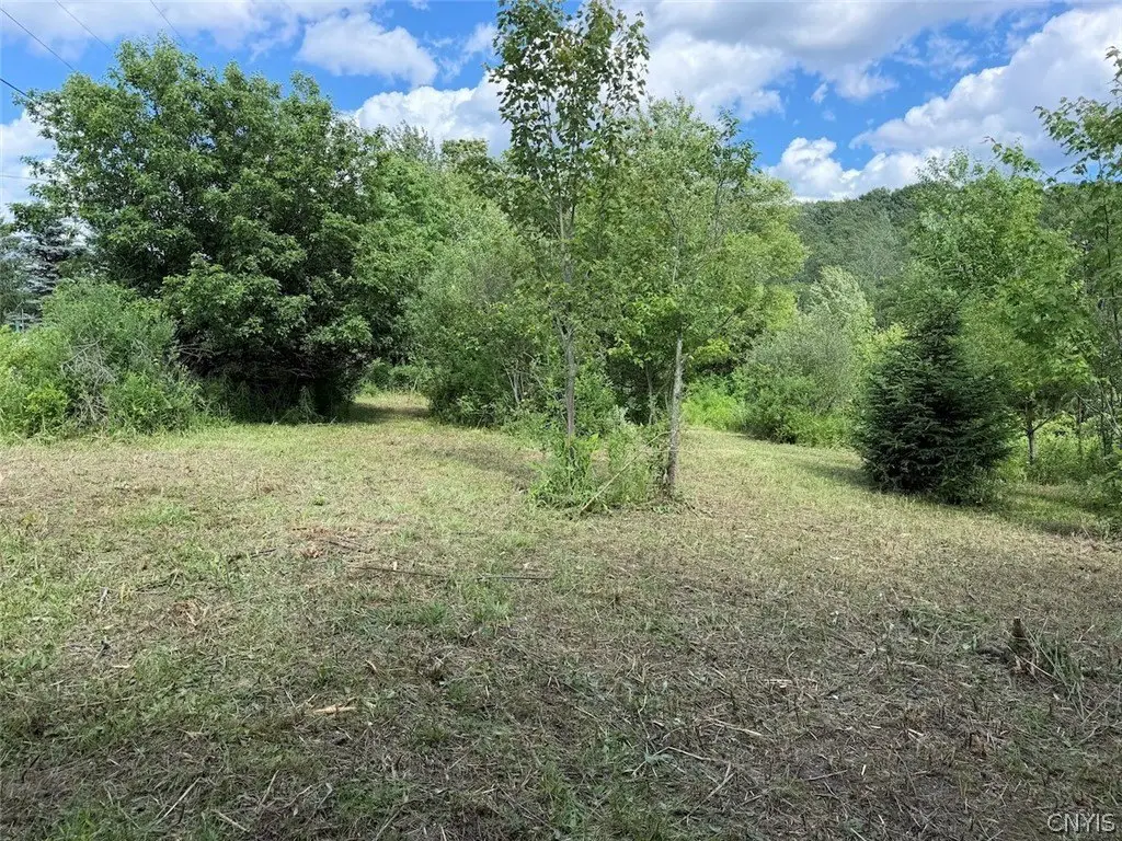 Picture 6