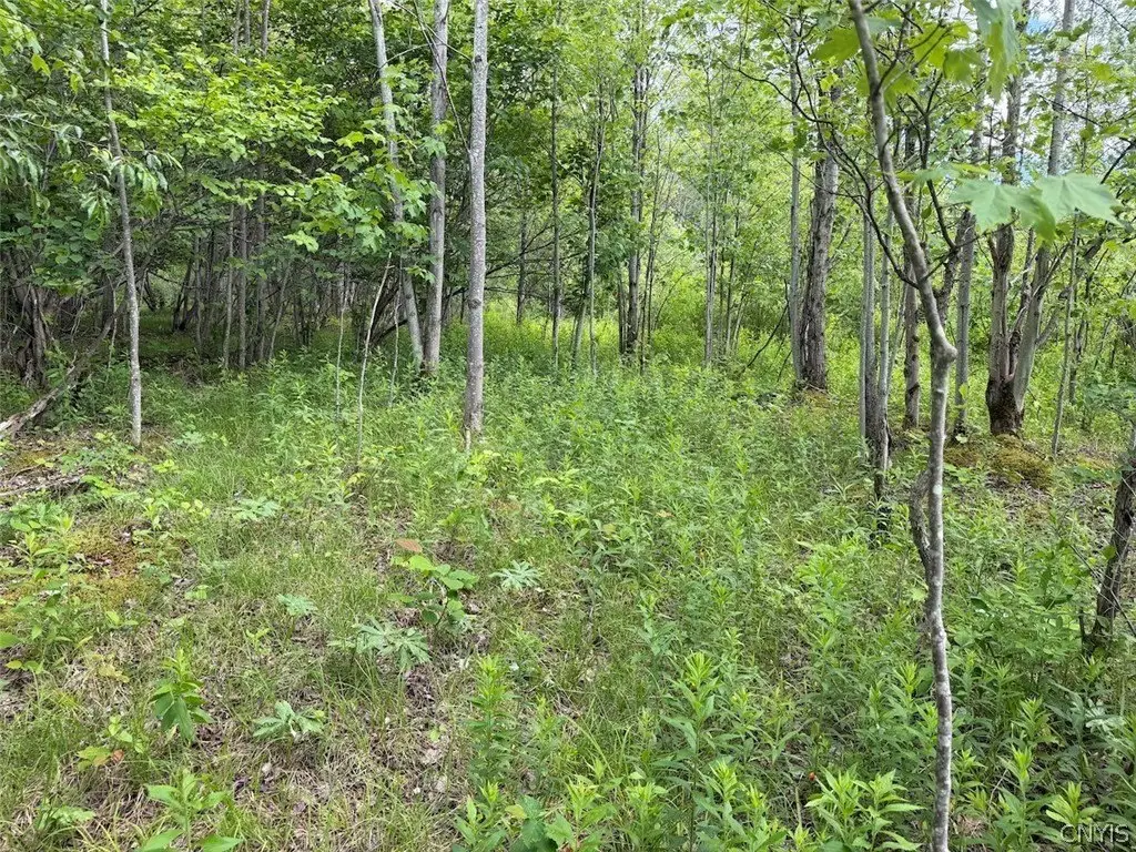 Picture 20