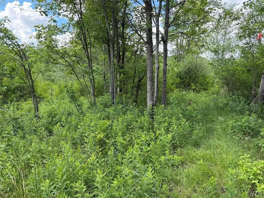 Picture 23