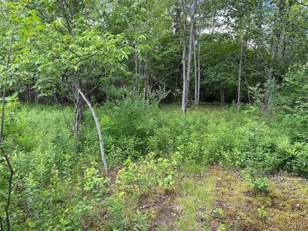 Picture 21