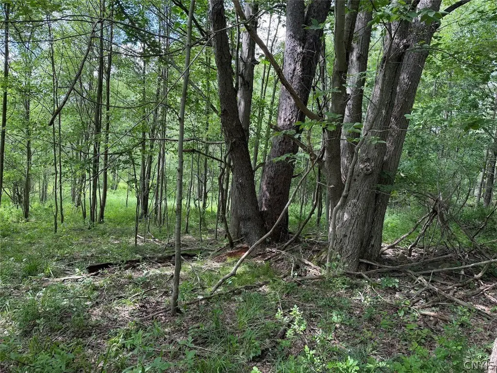 Picture 28