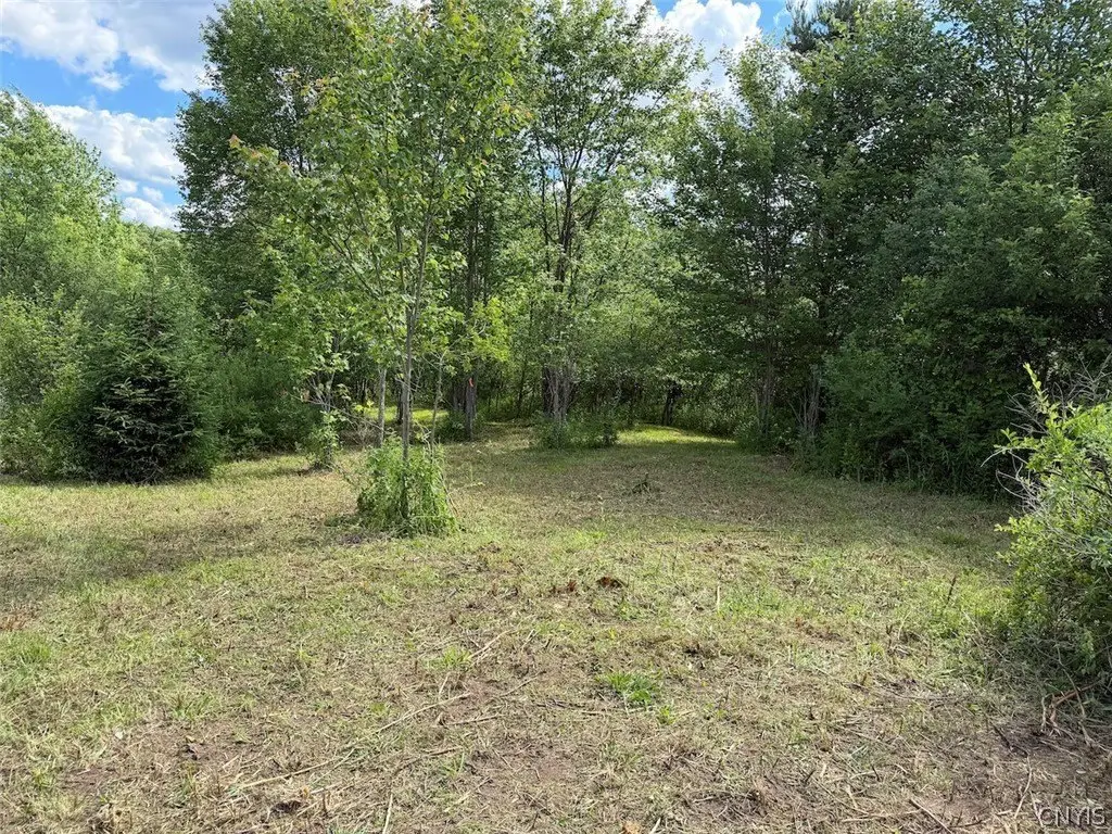 Picture 5