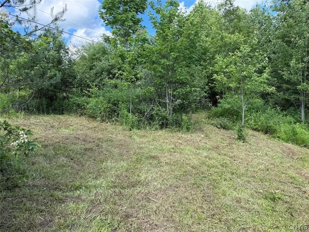 Picture 9