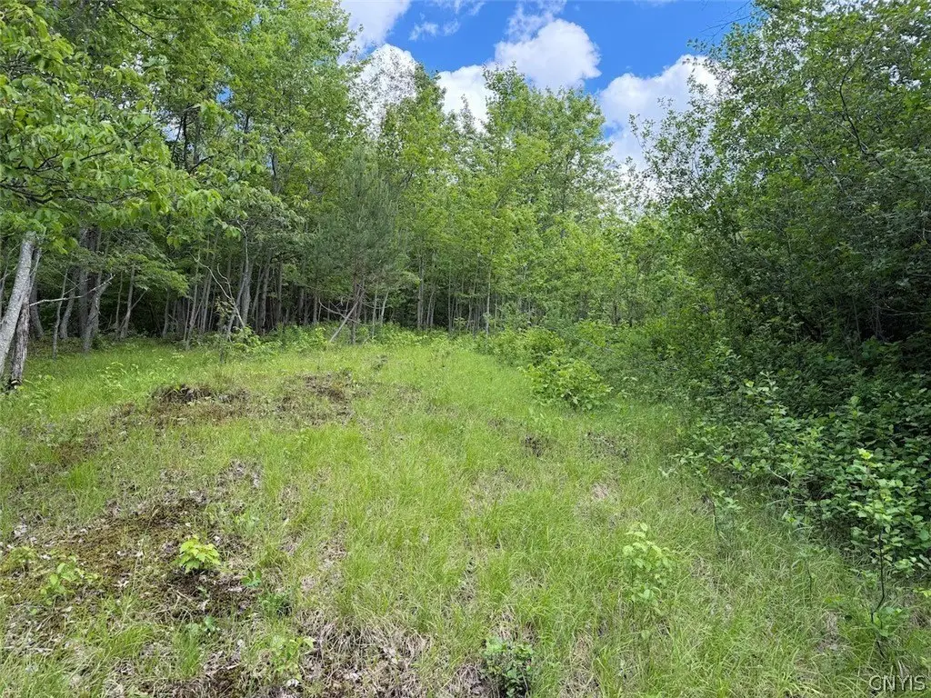 Picture 19