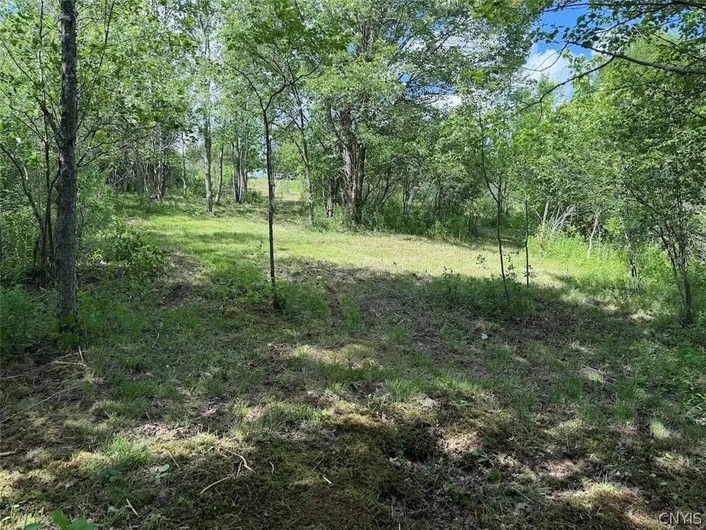 Picture 11