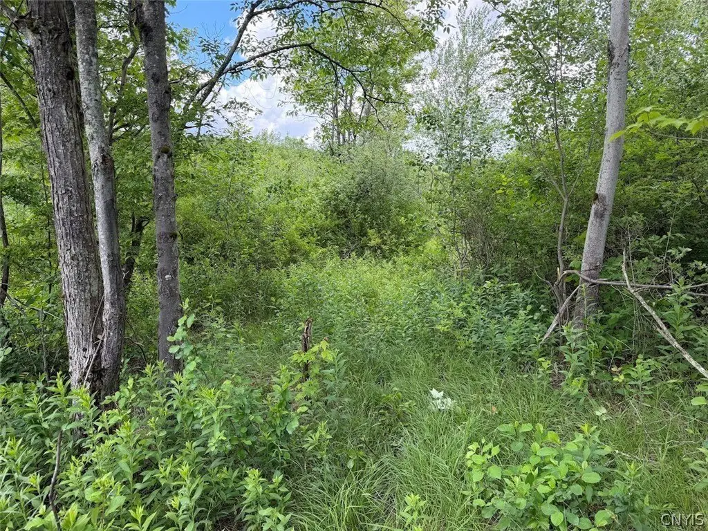Picture 22