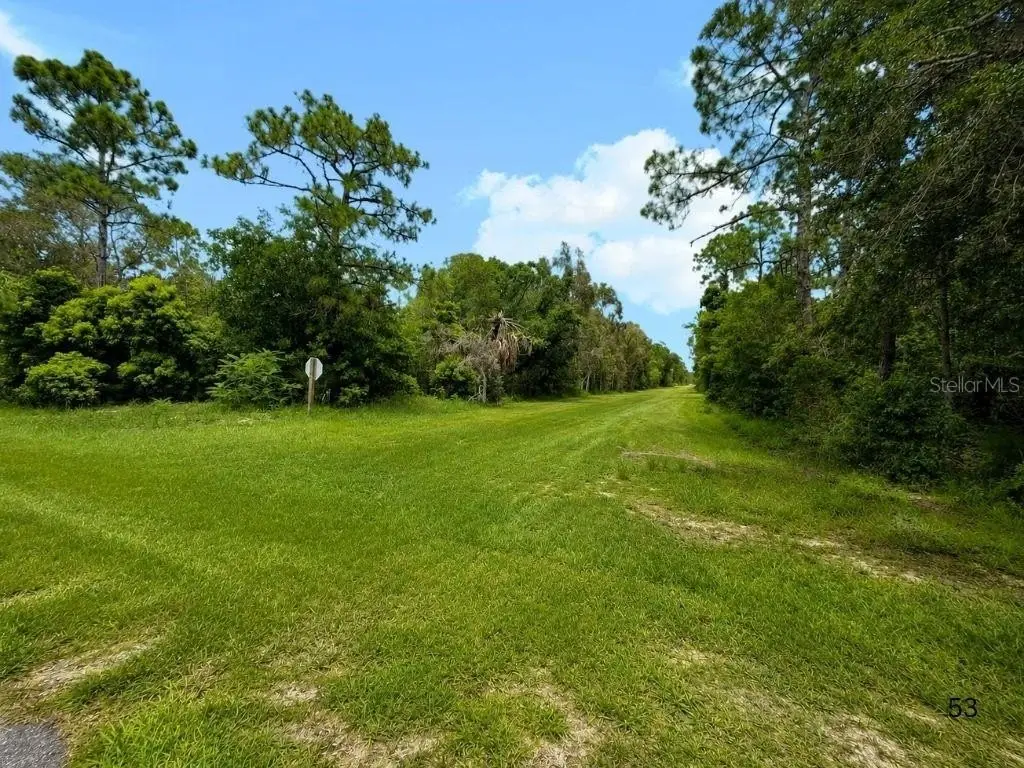 Picture 7