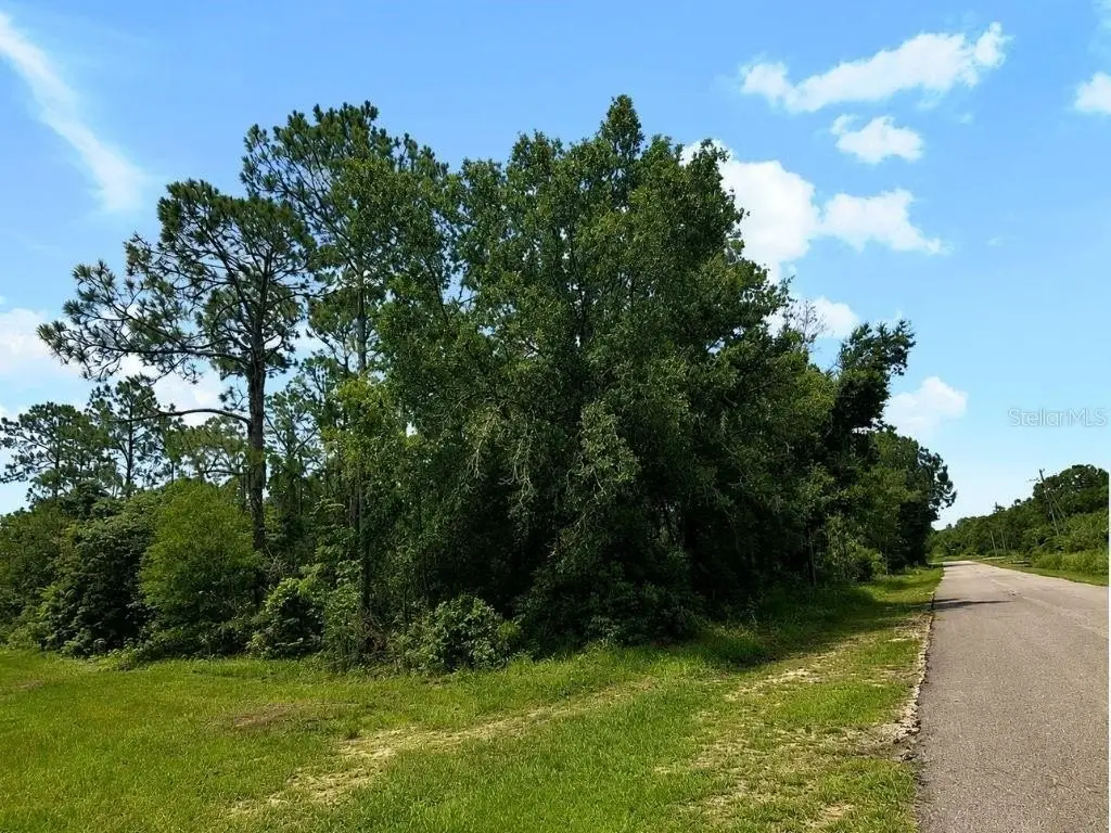 Picture 5