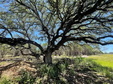 Lampasas Vacant Land in Gated Community