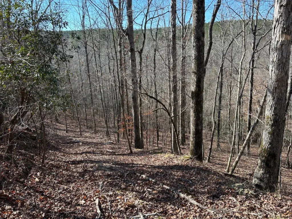 Picture 18