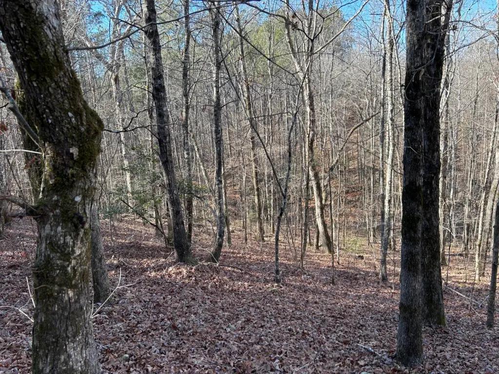 Picture 9