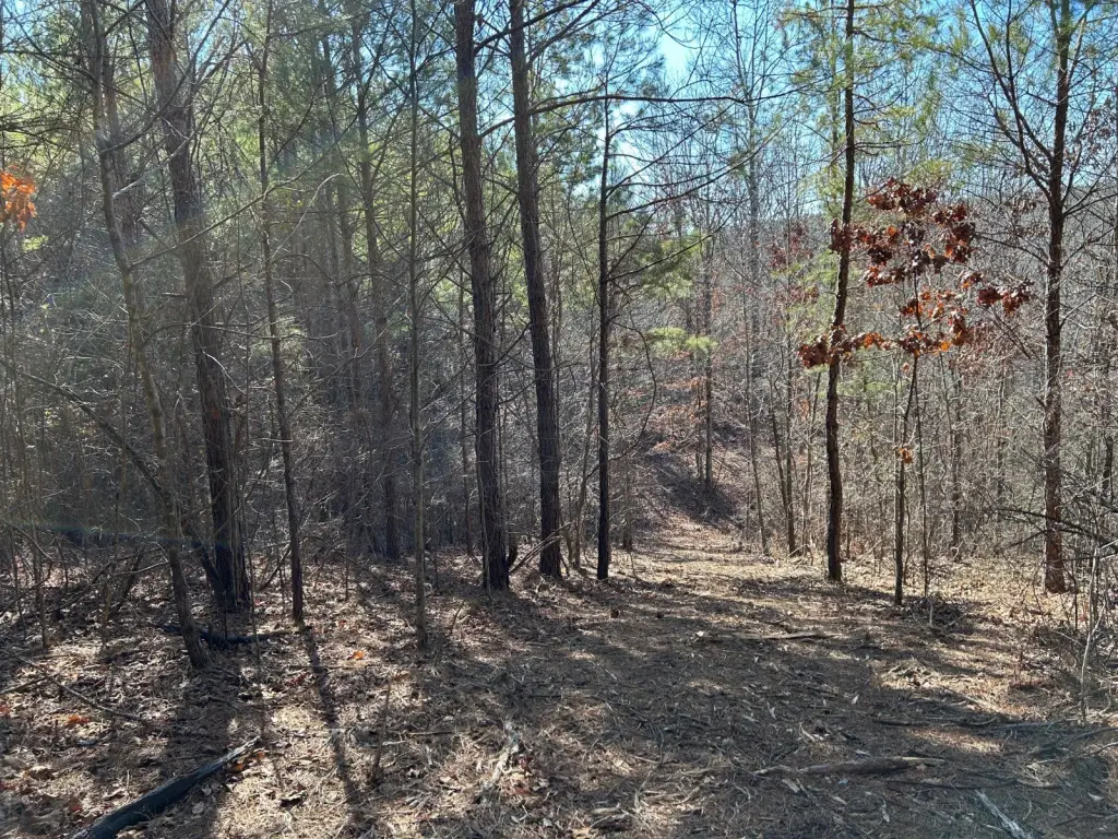 Picture 16
