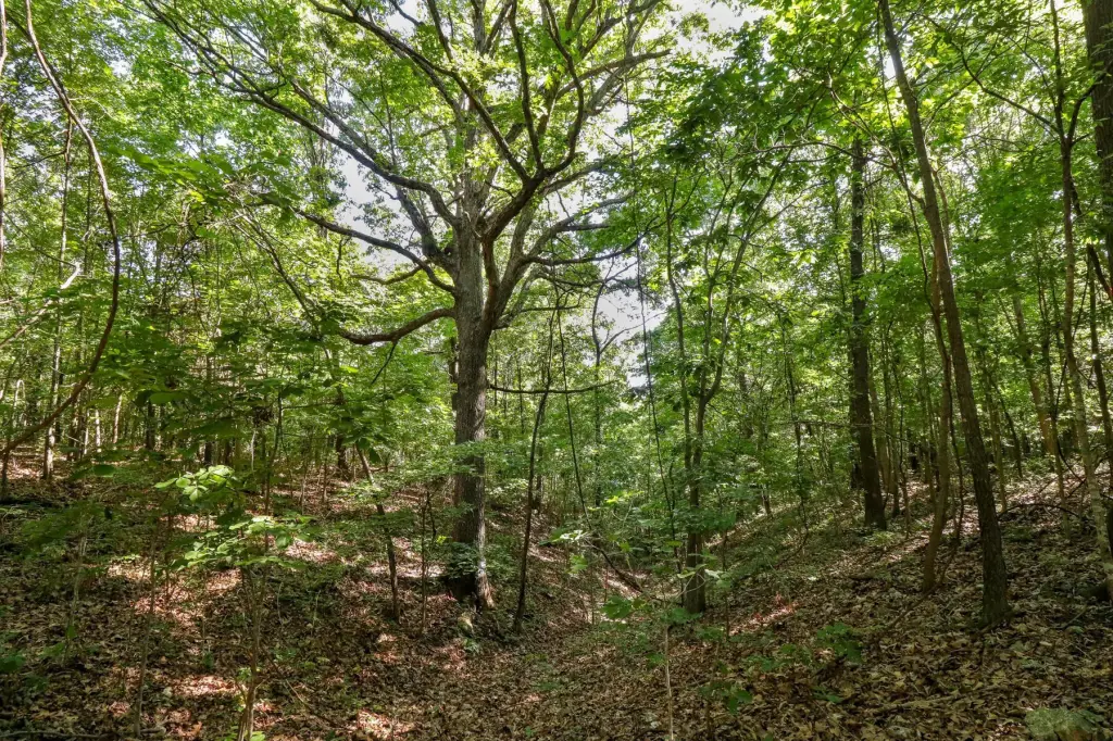 Picture 25