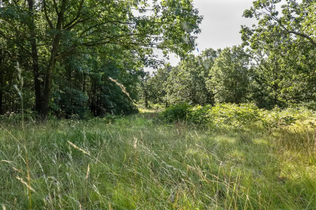 Picture 24