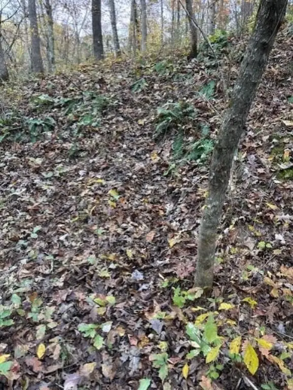 Picture 13