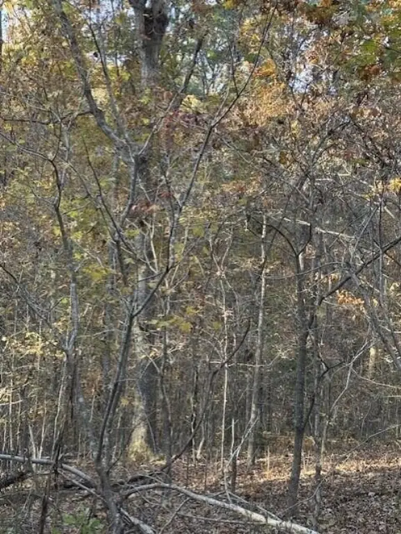Picture 10