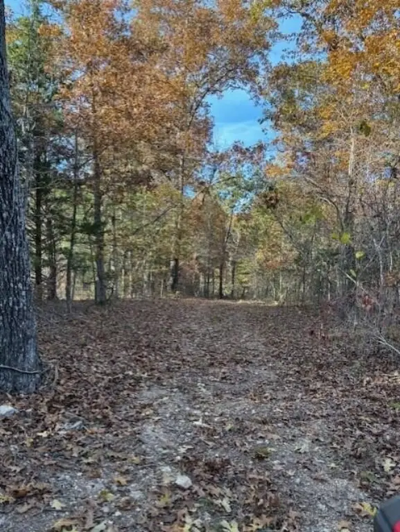 Picture 8