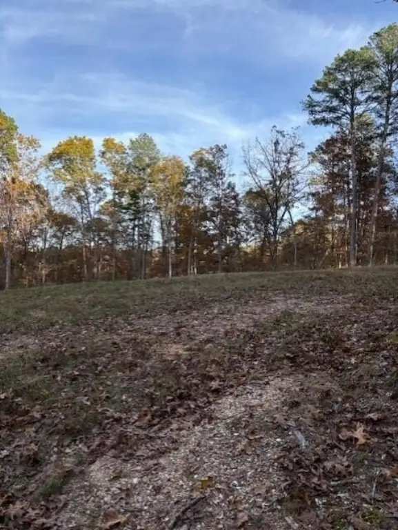 Picture 7