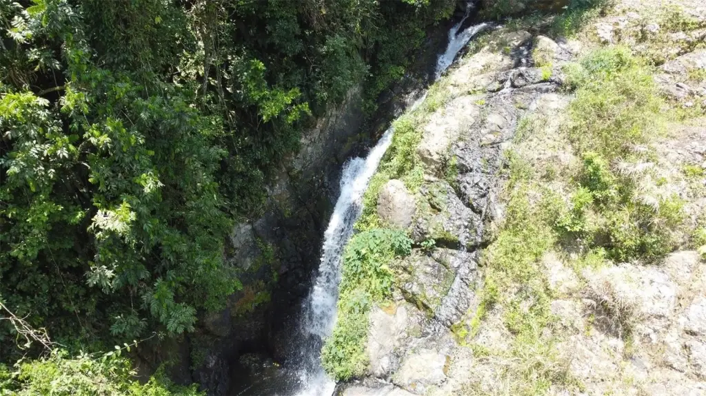 Picture 10
