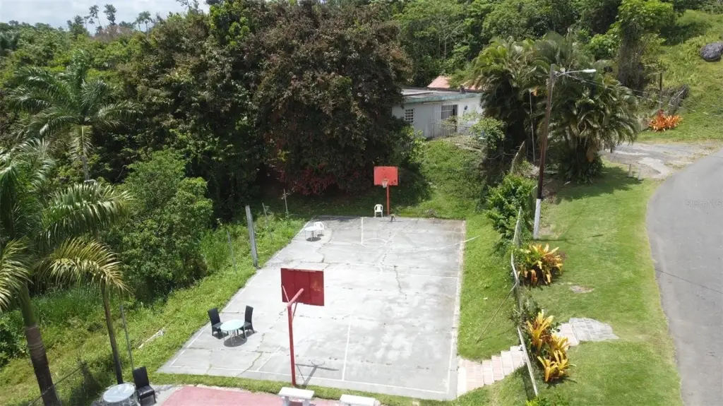 Picture 23